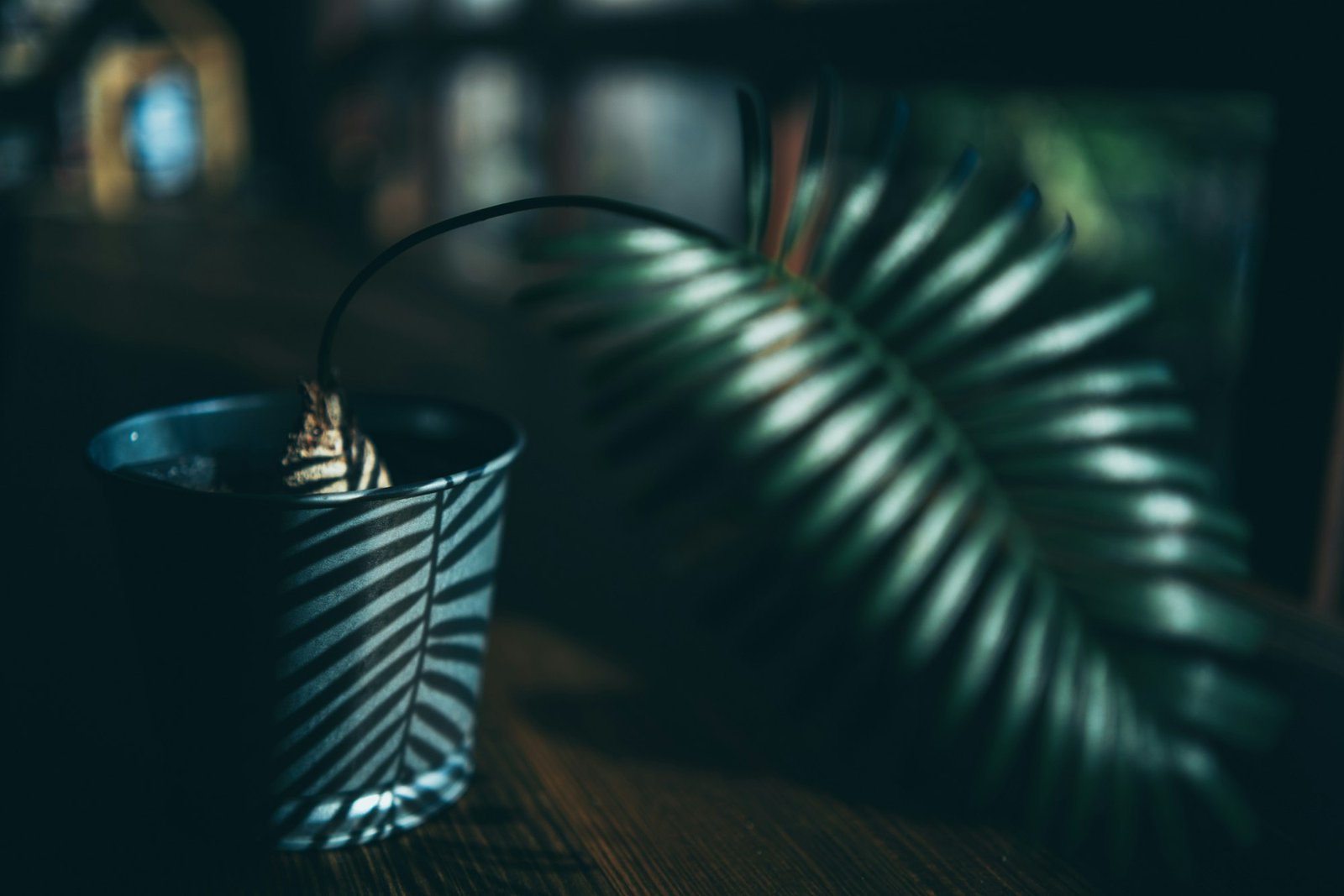 plant decoration design in minimal style background, cup of drink on natural wood table